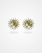 Coastal Statement Earrings