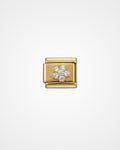 Charm Daisy
