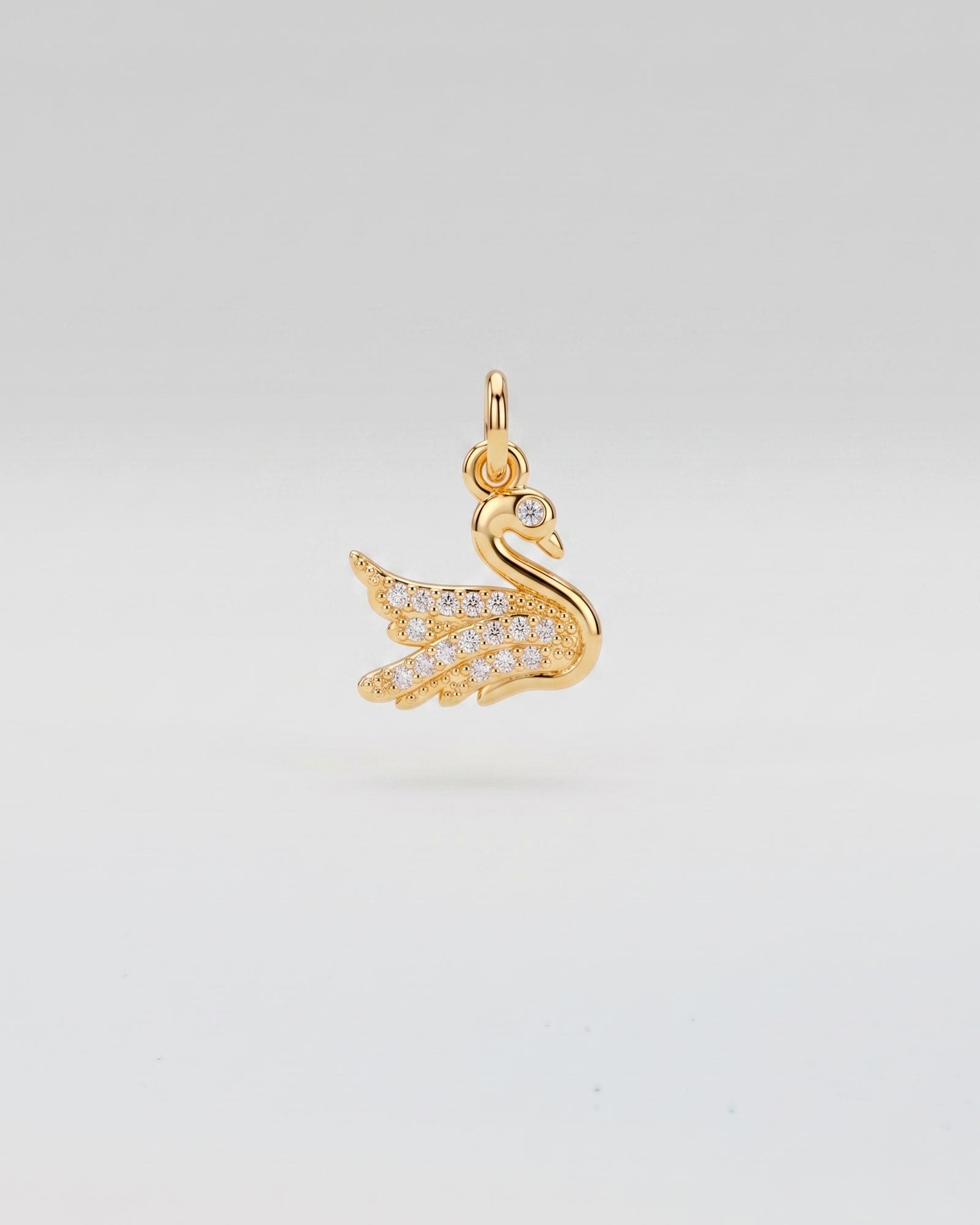 Cisne Brillante