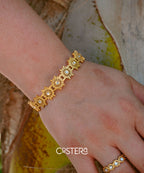 Solar Brazalete