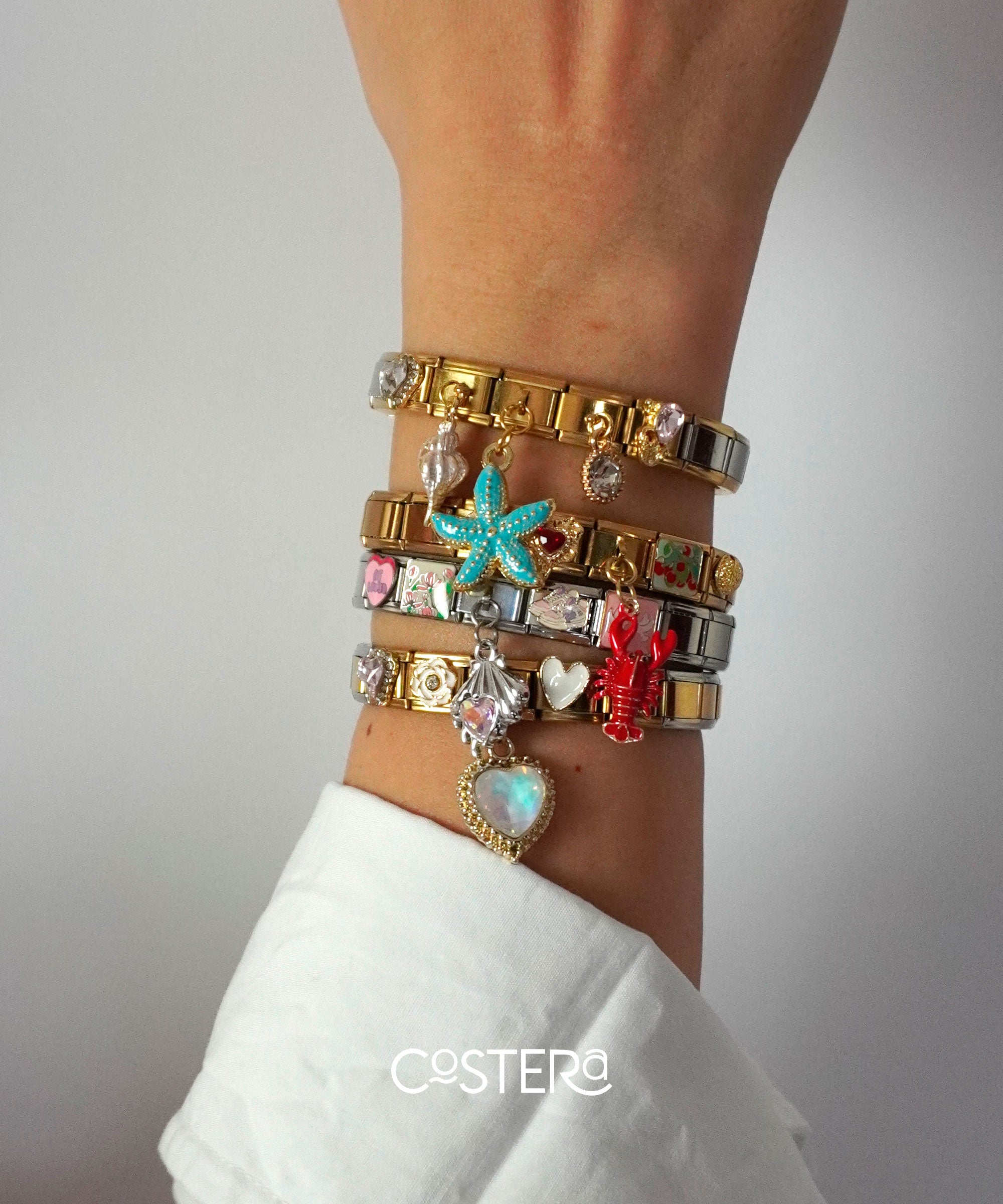Pulsera Italiana + 5 Charms (Descuento especial)